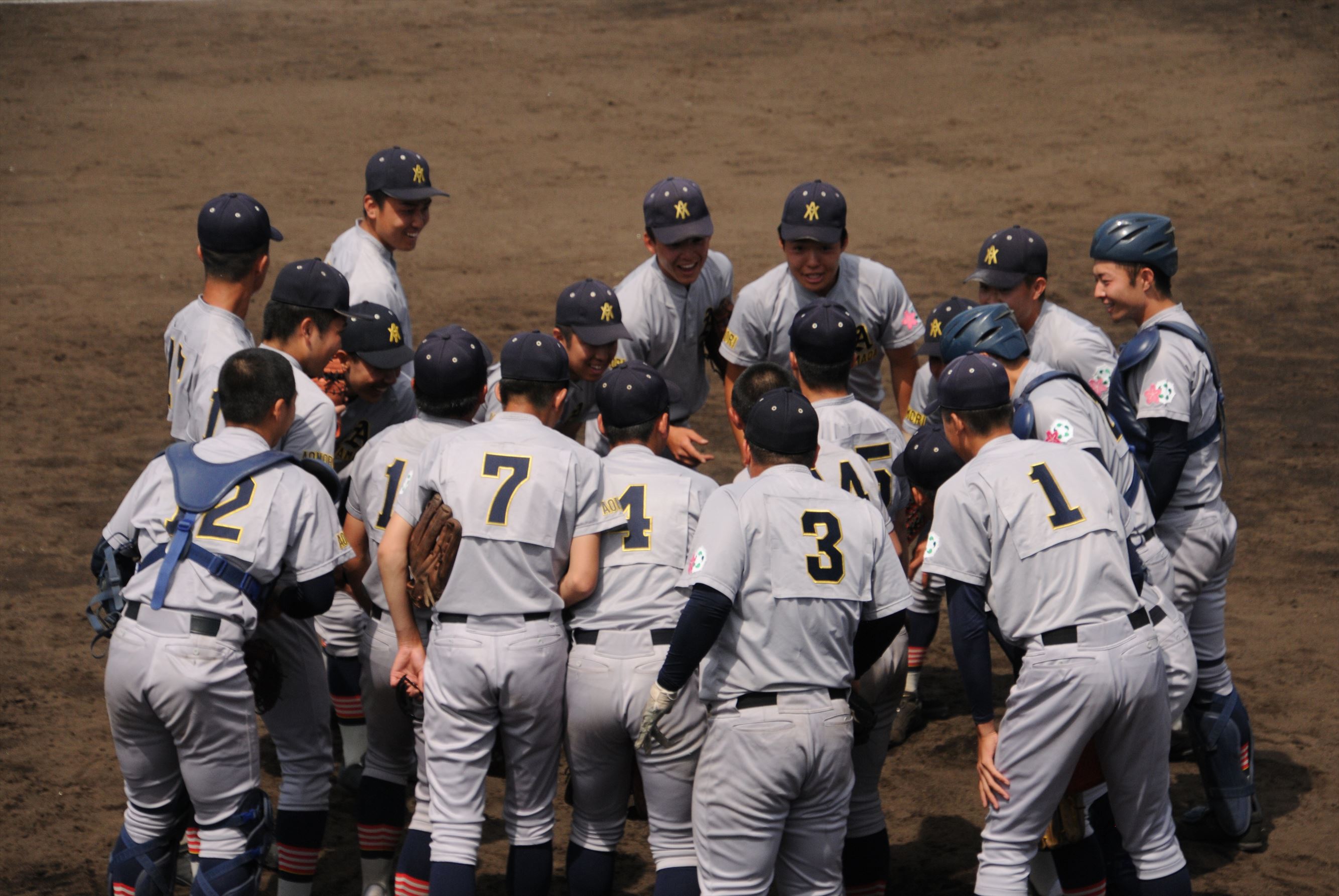 青森 県 高校 野球